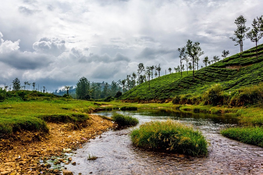 Kuzhankal River View