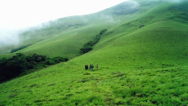 Grass Hills, Valparai