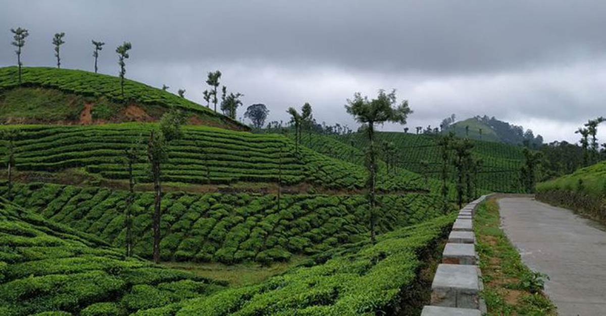 Nallamudi Viewpoint