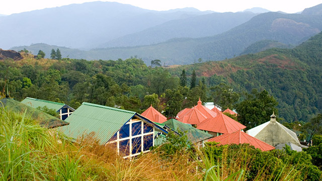 banner-image
