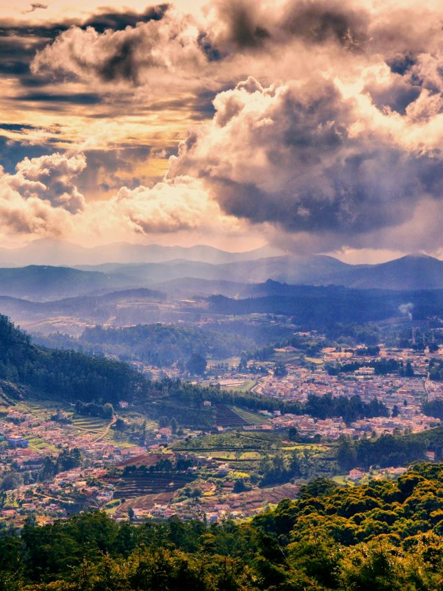 Top 4 Hotels in Ooty to Stay in 2024 and Feel the Luxury