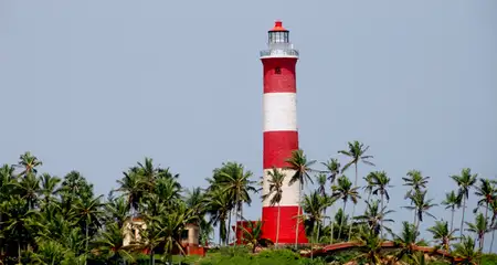 banner-image