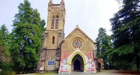 banner-image