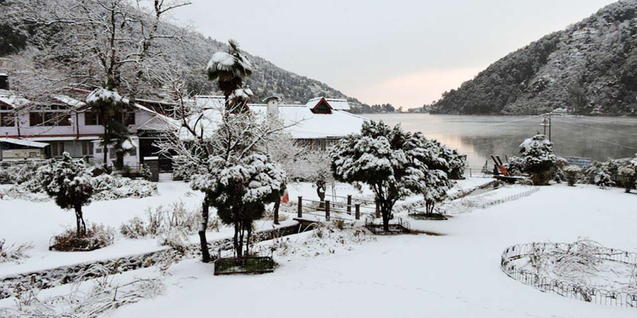 banner-image