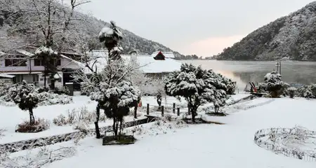 banner-image