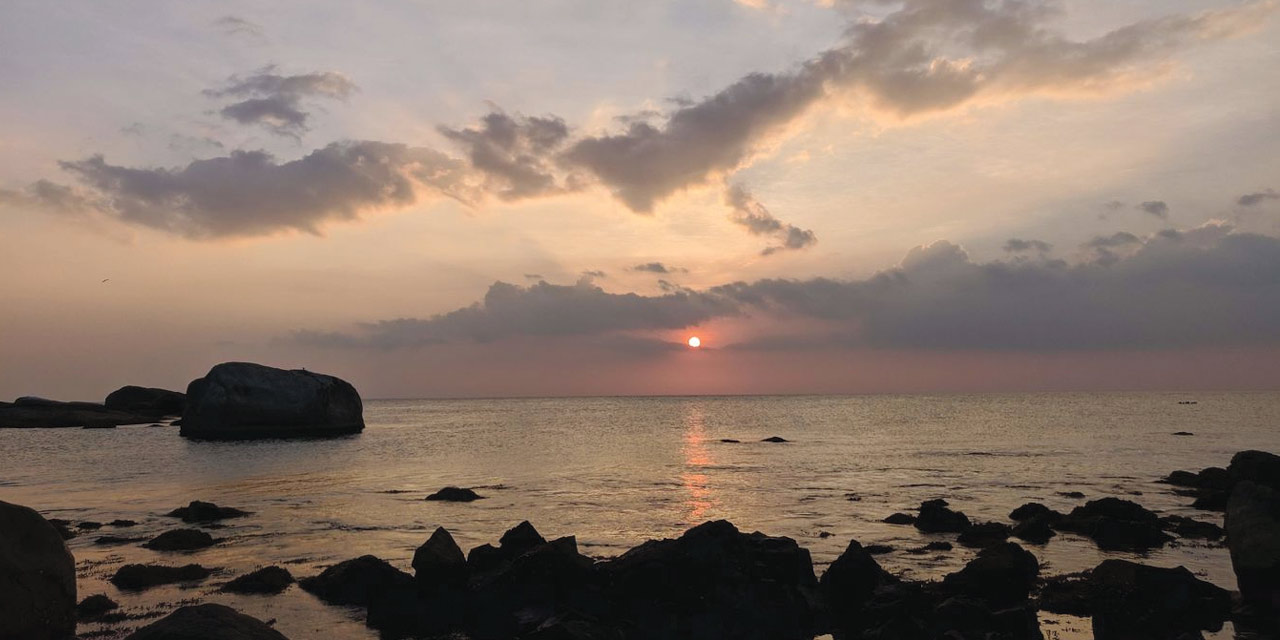 banner-image