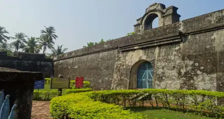 banner-image