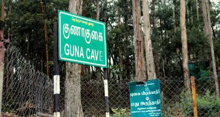 banner-image