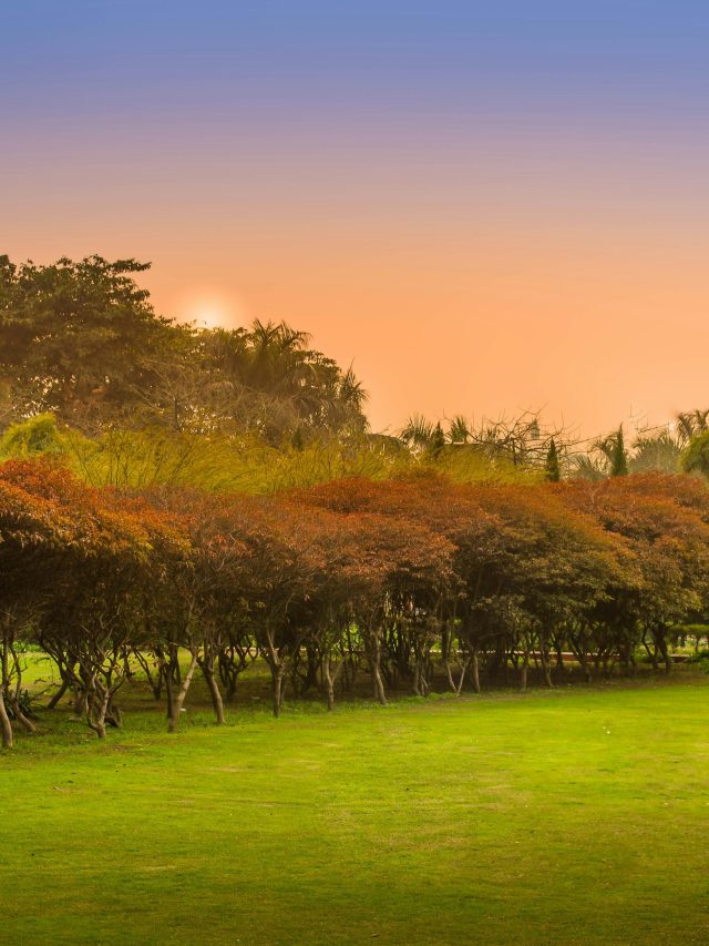 9 Best Luxury Hotels to Stay in Greater Noida in 2024