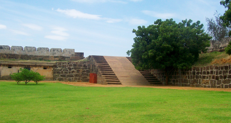 banner-image