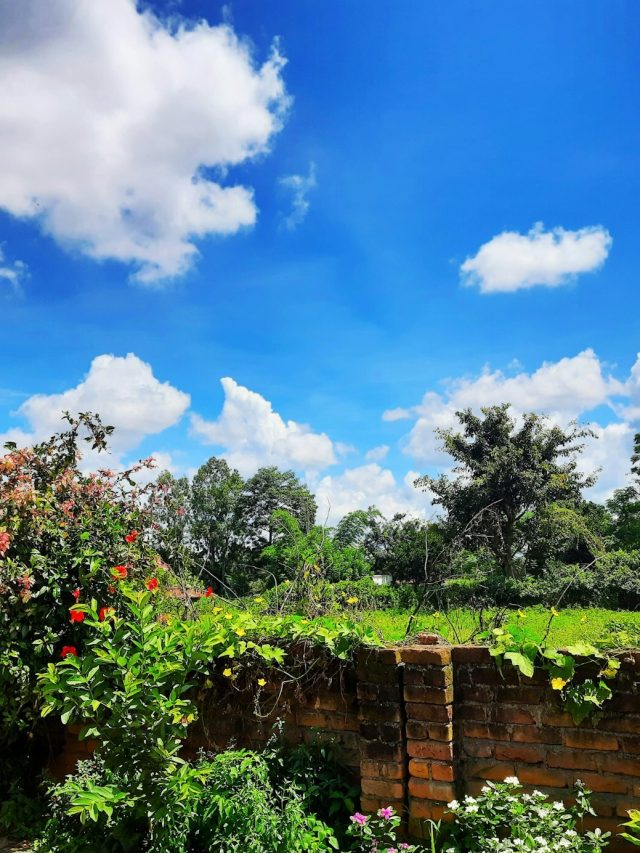 9 Best Luxury Hotels to Stay in Ranchi in 2024