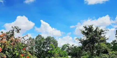 thumb-image