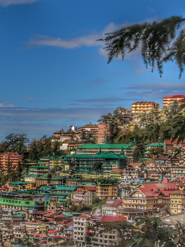 9 Best Luxury Hotels to Stay in Shimla in 2024